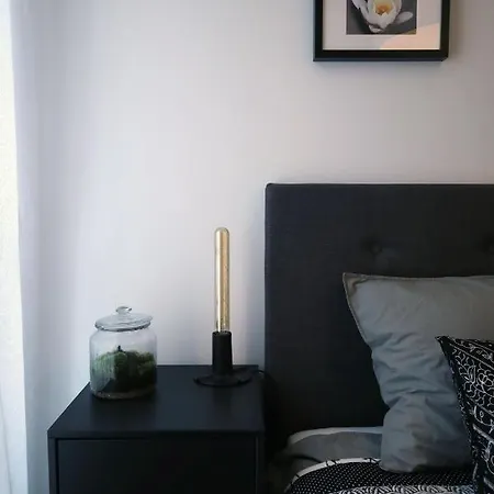 Apartment Vistula